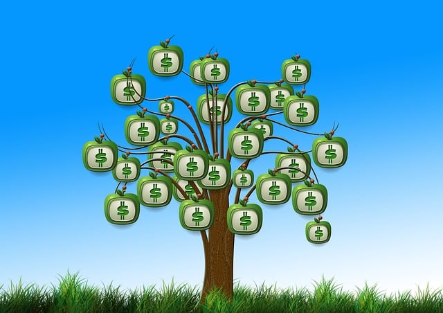 昆明小额急用钱：解决短期资金困境的明智选择