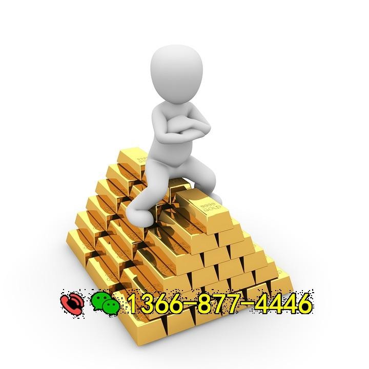 个人借款短借：解决临时资金需求的明智之举