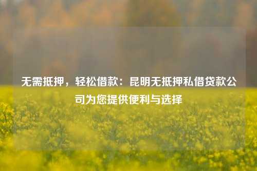 无需抵押，轻松借款：昆明无抵押私借贷款公司为您提供便利与选择