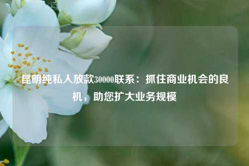 昆明纯私人放款30000联系：抓住商业机会的良机，助您扩大业务规模