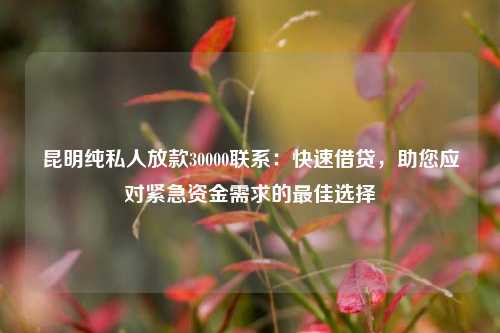 昆明纯私人放款30000联系：快速借贷，助您应对紧急资金需求的最佳选择 昆明纯私人放款30000联系 昆明私人借款  第1张