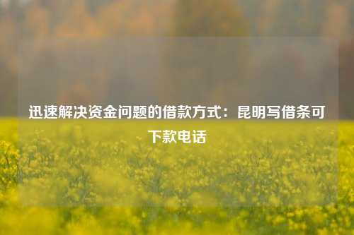 迅速解决资金问题的借款方式：昆明写借条可下款电话 昆明写借条可下款电话 昆明私人借款  第1张