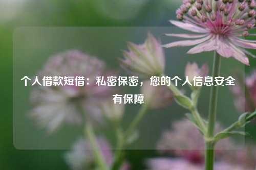 个人借款短借：私密保密，您的个人信息安全有保障