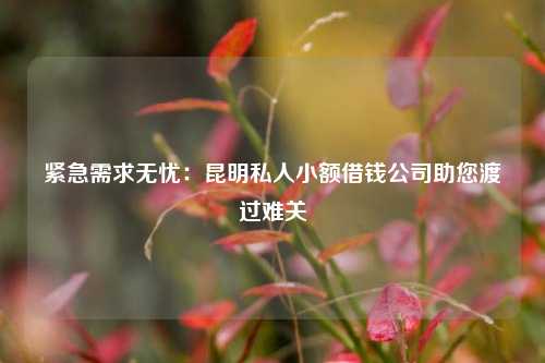 紧急需求无忧：昆明私人小额借钱公司助您渡过难关