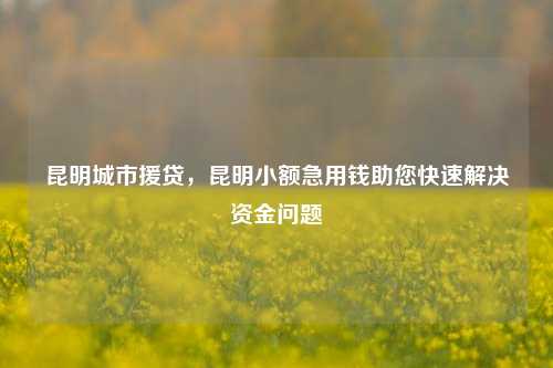 昆明城市援贷，昆明小额急用钱助您快速解决资金问题 昆明小额急用钱 昆明个人借钱  第1张
