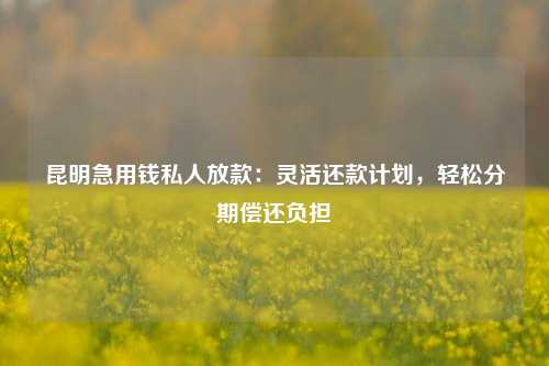 昆明急用钱私人放款：灵活还款计划，轻松分期偿还负担