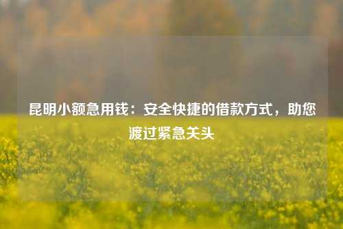 昆明小额急用钱：安全快捷的借款方式，助您渡过紧急关头 昆明小额急用钱 昆明私借  第1张