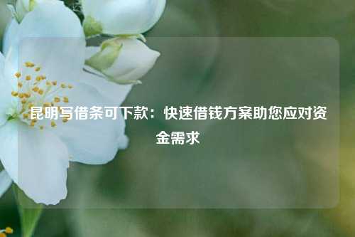 昆明写借条可下款：快速借钱方案助您应对资金需求