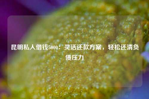 昆明私人借钱5000：灵活还款方案，轻松还清负债压力 昆明借钱找我私人利息低 昆明私人借款  第1张