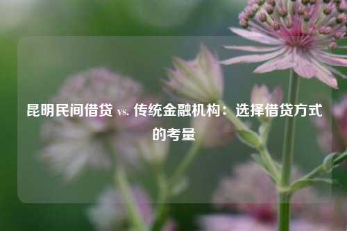 昆明民间借贷 vs. 传统金融机构：选择借贷方式的考量 昆明民间借贷 昆明私人借款  第1张