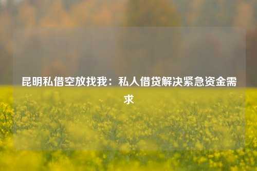 昆明私借空放找我：私人借贷解决紧急资金需求 昆明私借空放找我 昆明无抵押贷款  第1张
