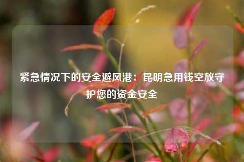 紧急情况下的安全避风港：昆明急用钱空放守护您的资金安全 昆明急用钱空放 昆明个人借钱  第1张