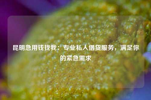 昆明急用钱找我：专业私人借贷服务，满足你的紧急需求 昆明急用钱找我 昆明空放  第1张