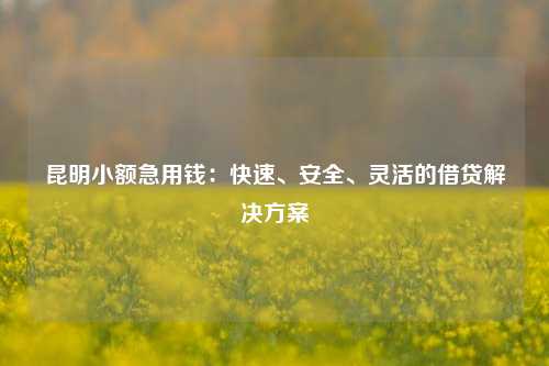 昆明小额急用钱：快速、安全、灵活的借贷解决方案 昆明小额急用钱 昆明私人借款  第1张