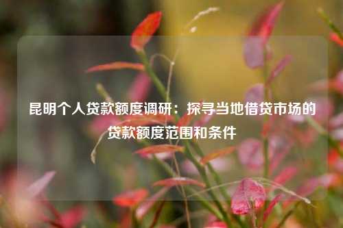 昆明个人贷款额度调研：探寻当地借贷市场的贷款额度范围和条件 昆明个人贷款 昆明私人借款  第1张