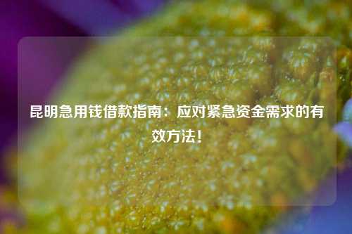 昆明急用钱借款指南：应对紧急资金需求的有效方法！