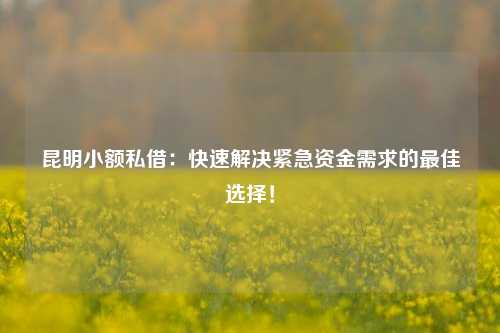 昆明小额私借：快速解决紧急资金需求的最佳选择！ 昆明小额私借 昆明无抵押贷款  第1张