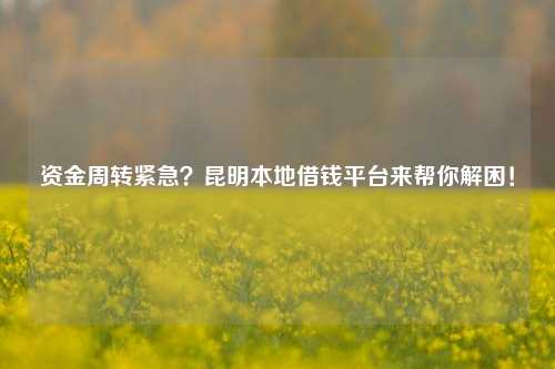 资金周转紧急？昆明本地借钱平台来帮你解困！ 昆明24小时私人借钱 昆明个人借钱  第1张