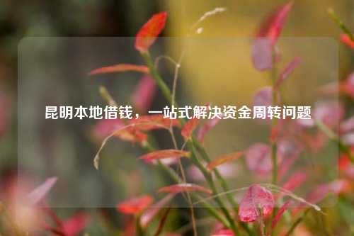 昆明本地借钱，一站式解决资金周转问题