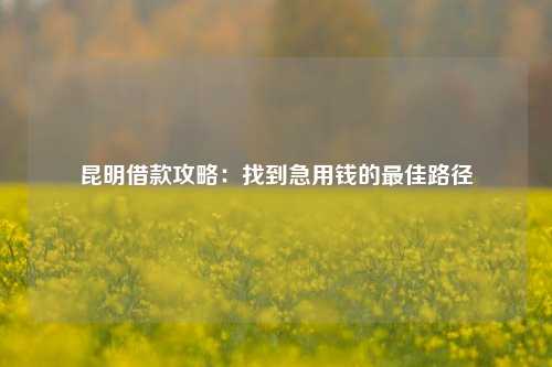 昆明借款攻略：找到急用钱的最佳路径