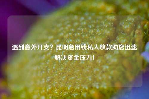 遇到意外开支？昆明急用钱私人放款助您迅速解决资金压力！