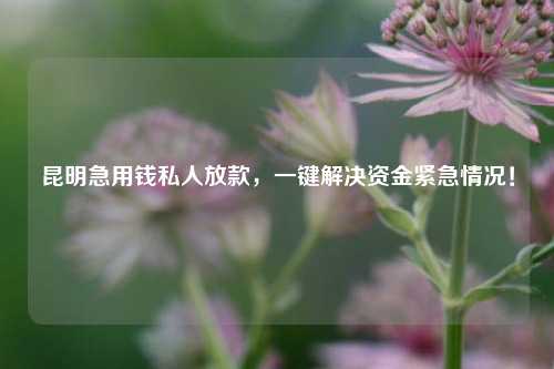 昆明急用钱私人放款，一键解决资金紧急情况！