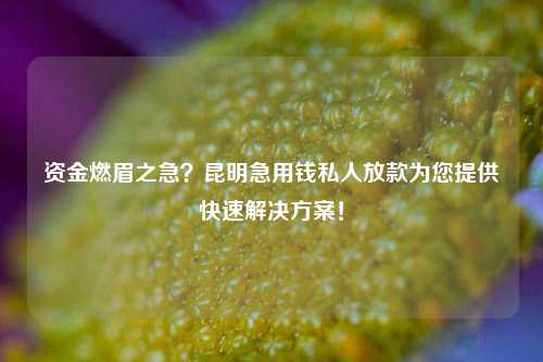 资金燃眉之急？昆明急用钱私人放款为您提供快速解决方案！