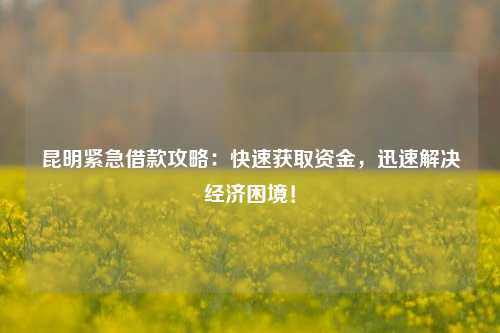 昆明紧急借款攻略：快速获取资金，迅速解决经济困境！