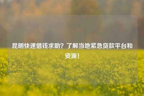 昆明快速借钱求助？了解当地紧急贷款平台和资源！