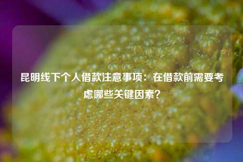 昆明线下个人借款注意事项：在借款前需要考虑哪些关键因素？