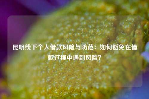 昆明线下个人借款风险与防范：如何避免在借款过程中遇到风险？ 昆明小额贷款公司有哪些 昆明私人借款  第1张