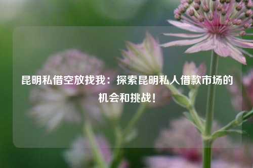昆明私借空放找我：探索昆明私人借款市场的机会和挑战！
