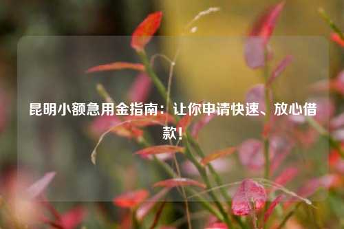 昆明小额急用金指南：让你申请快速、放心借款！ 昆明小额急用 昆明空放  第1张