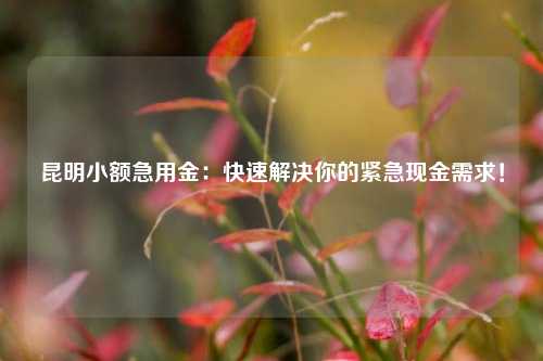 昆明小额急用金：快速解决你的紧急现金需求！