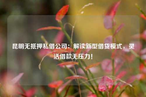 昆明无抵押私借公司：解读新型借贷模式，灵活借款无压力！