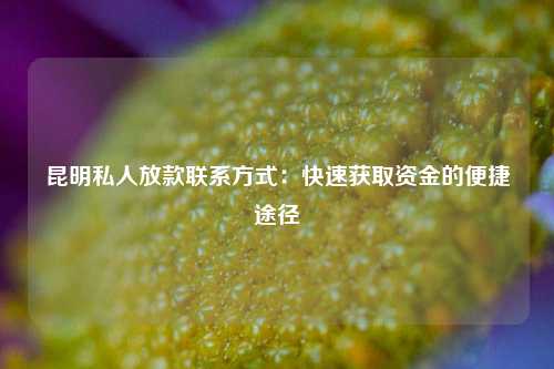 昆明私人放款联系方式：快速获取资金的便捷途径