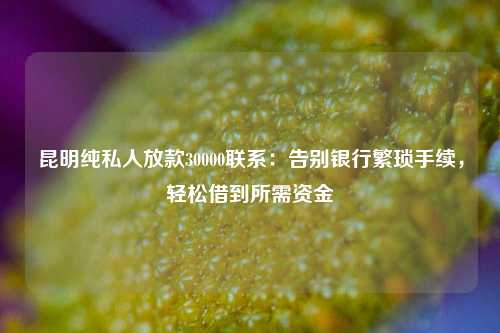 昆明纯私人放款30000联系：告别银行繁琐手续，轻松借到所需资金
