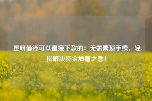  昆明借钱可以直接下款的：无需繁琐手续，轻松解决资金燃眉之急！