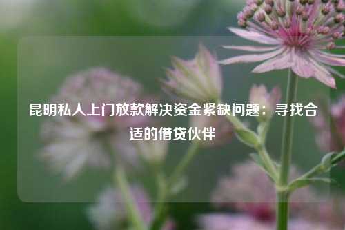 昆明私人上门放款解决资金紧缺问题：寻找合适的借贷伙伴