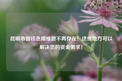 昆明市借钱急用难题不再存在！这些地方可以解决您的资金需求！