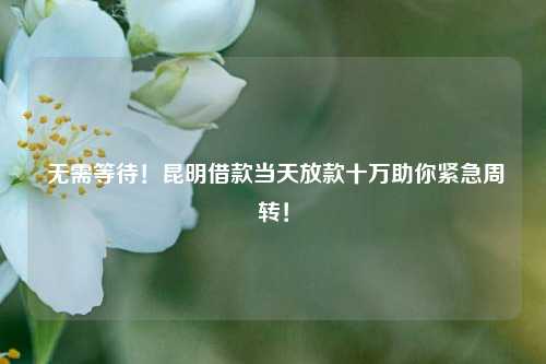  无需等待！昆明借款当天放款十万助你紧急周转！ 昆明借款方便当天放款十万 昆明私人借款  第1张
