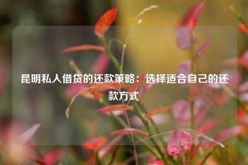昆明私人借贷的还款策略：选择适合自己的还款方式