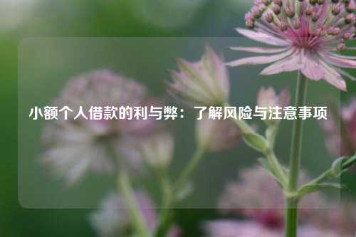 小额个人借款的利与弊：了解风险与注意事项