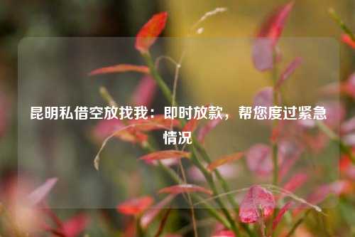 昆明私借空放找我：即时放款，帮您度过紧急情况