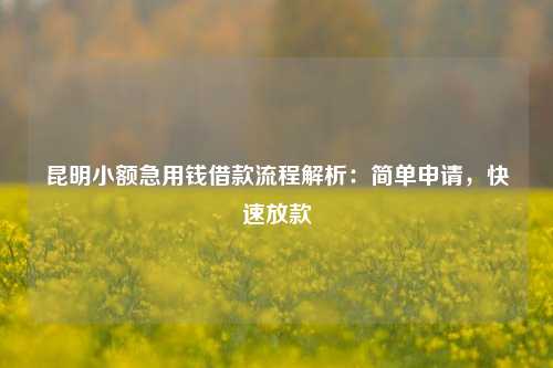 昆明小额急用钱借款流程解析：简单申请，快速放款