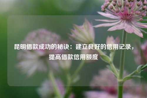 昆明借款成功的秘诀：建立良好的信用记录，提高借款信用额度 昆明借款 昆明个人借钱  第1张
