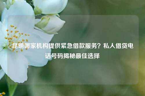 昆明哪家机构提供紧急借款服务？私人借贷电话号码揭秘最佳选择 昆明哪里可以借钱急用啊 昆明空放  第1张