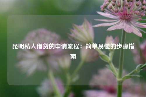 昆明私人借贷的申请流程：简单易懂的步骤指南 昆明私人借贷可靠吗 昆明私借  第1张