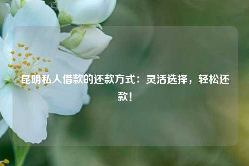 昆明私人借款的还款方式：灵活选择，轻松还款！ 昆明私人借款私借空放 昆明私人借款  第1张