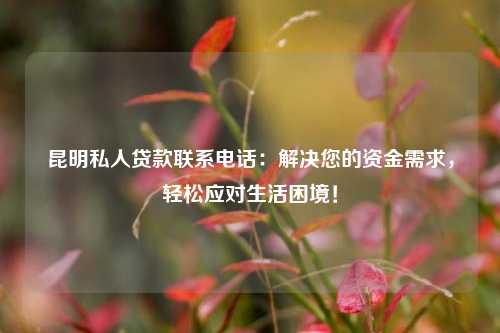 昆明私人贷款联系电话：解决您的资金需求，轻松应对生活困境！